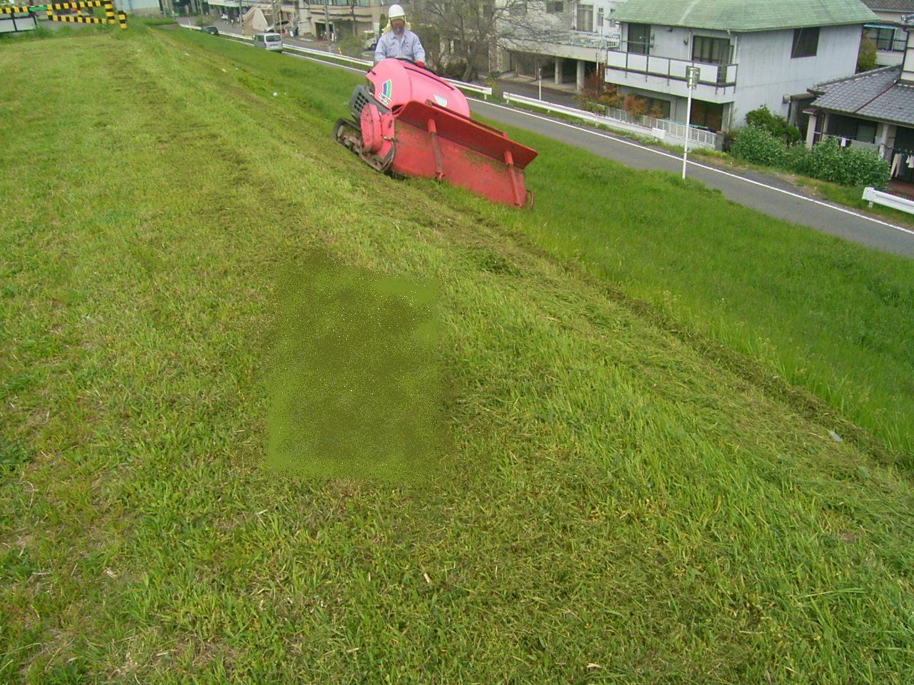 ��K�͏����@��K�͂ȏ����@�x�k�c�@�o���l�X�@�[�m�A�@����